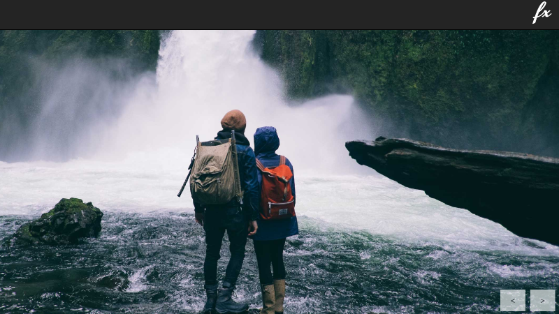 Photographers & Artists